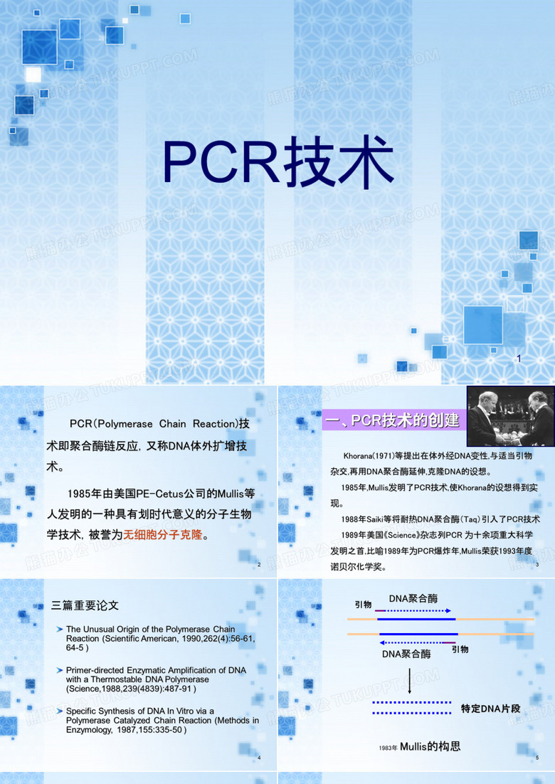PCR技术
