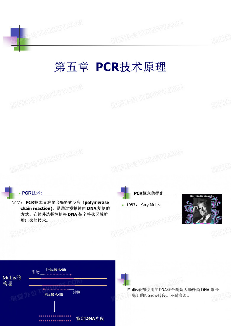 PCR技术原理