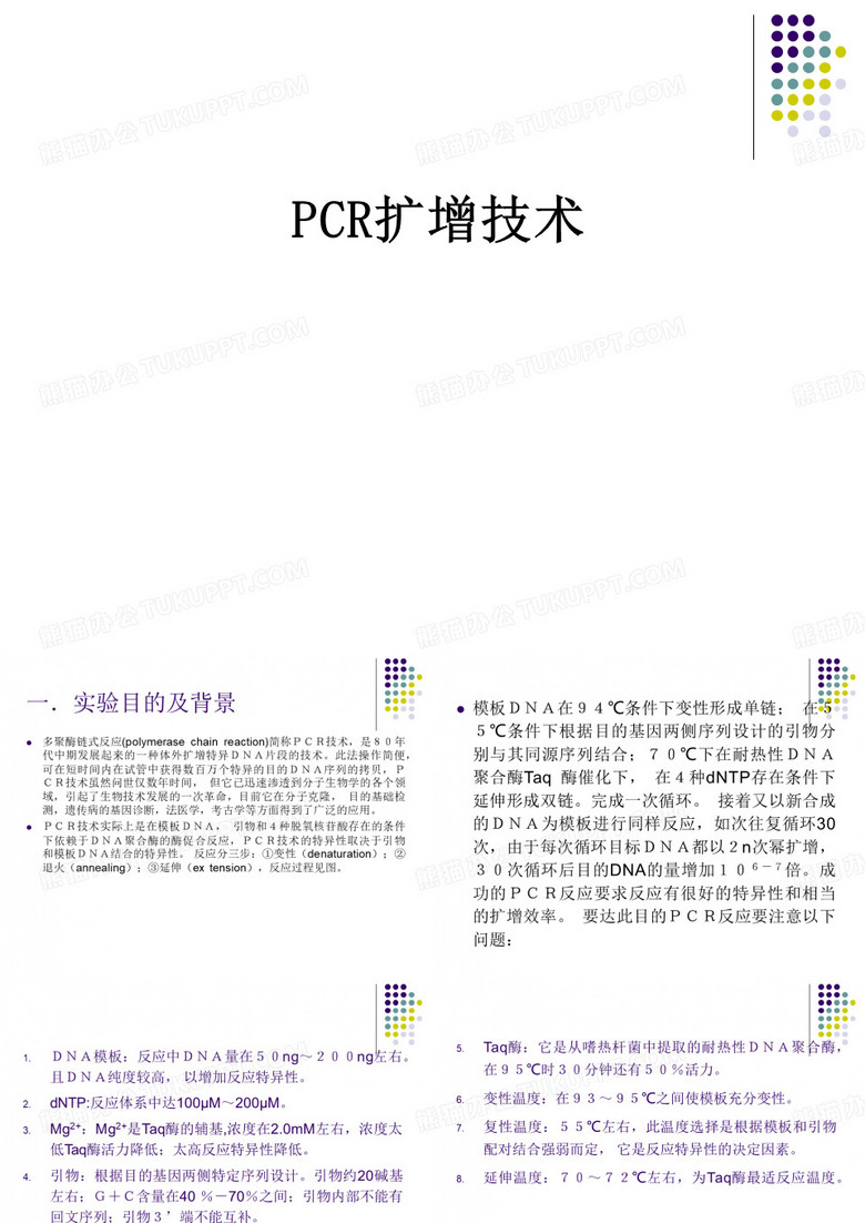 PCR扩增技术