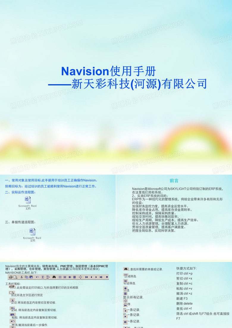Navision使用手册