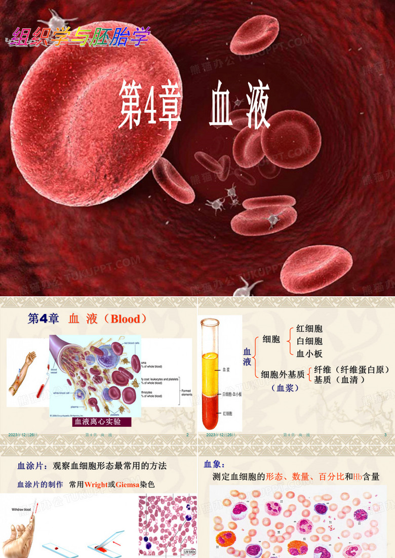 组织学与胚胎学-血液