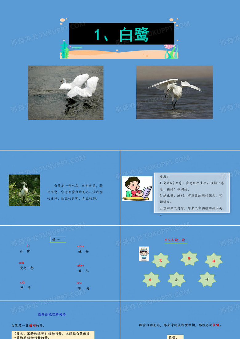 人教版五年级上册语文第一单元课文(白鹭、落花生、桂花雨、珍珠鸟)课件