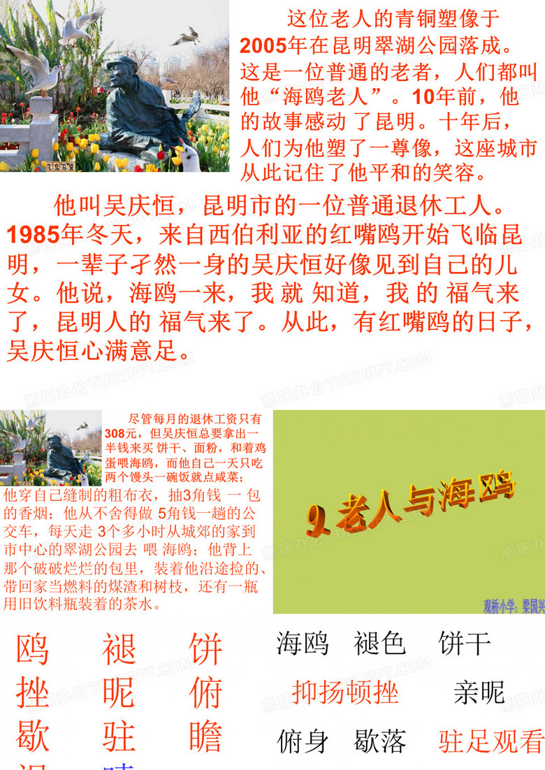 老人与海鸥