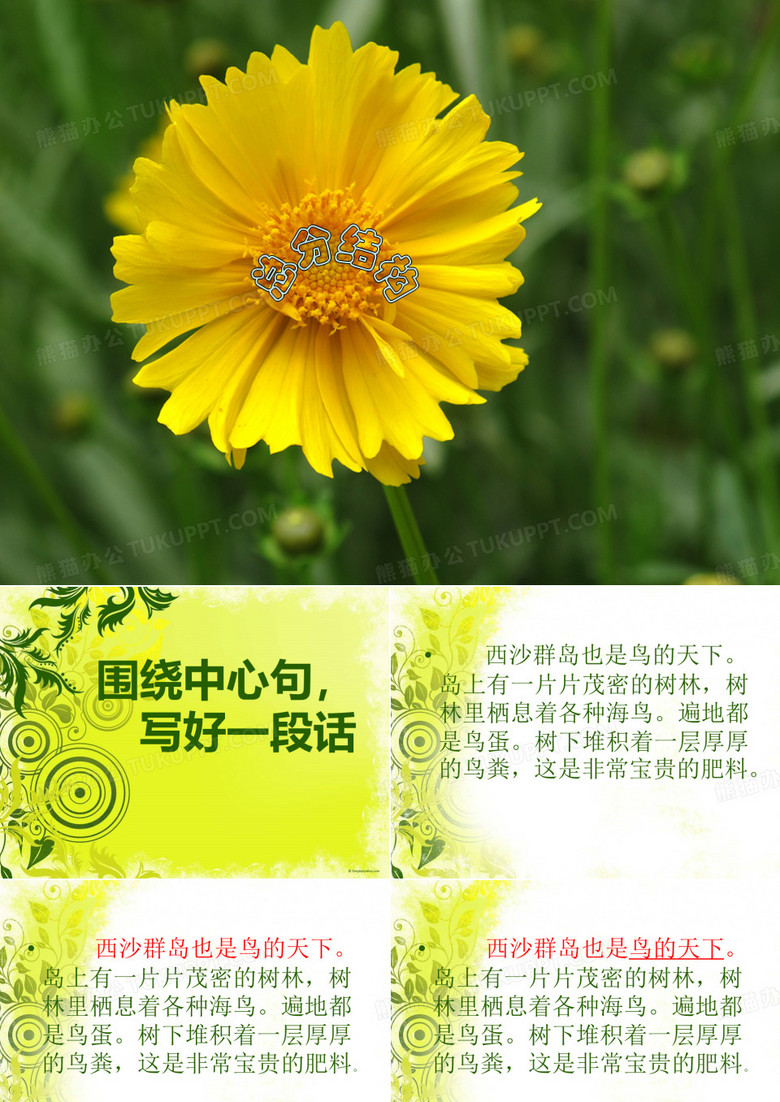 总分结构作文练习