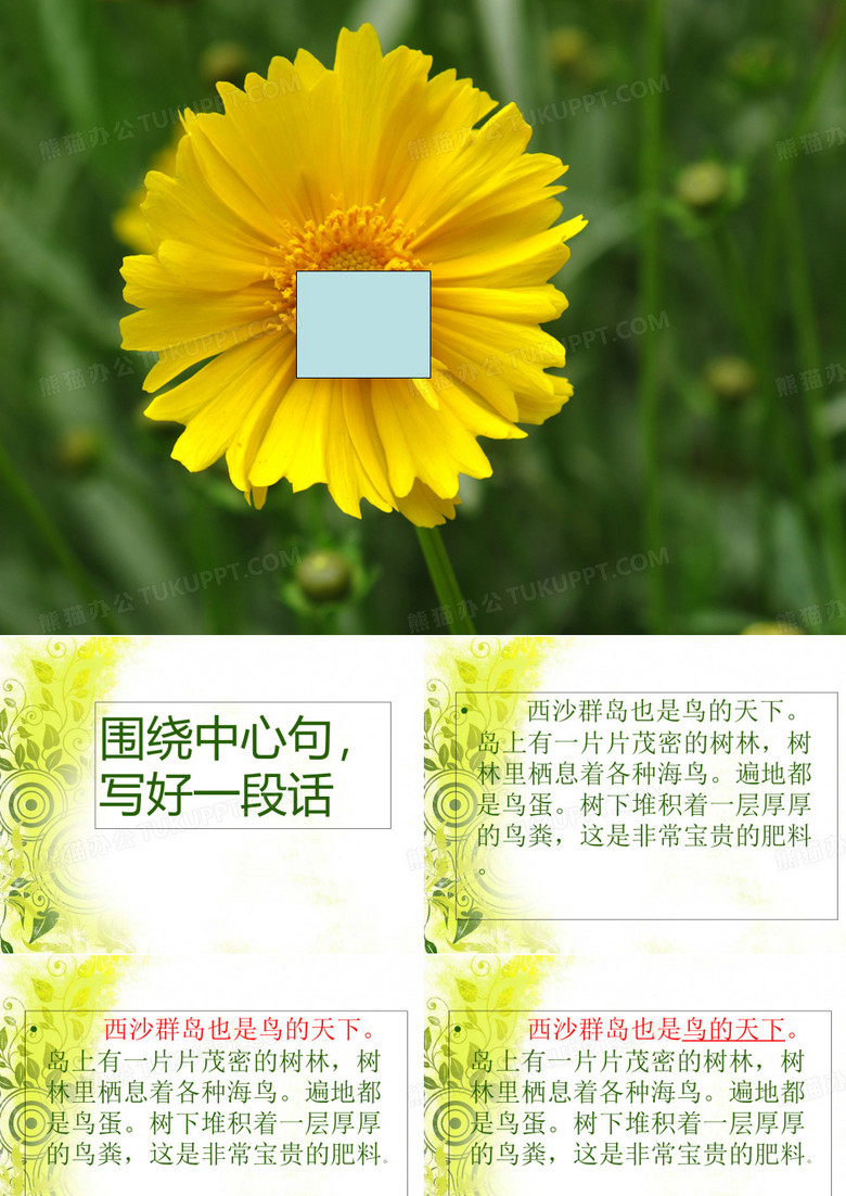 总分结构作文练习