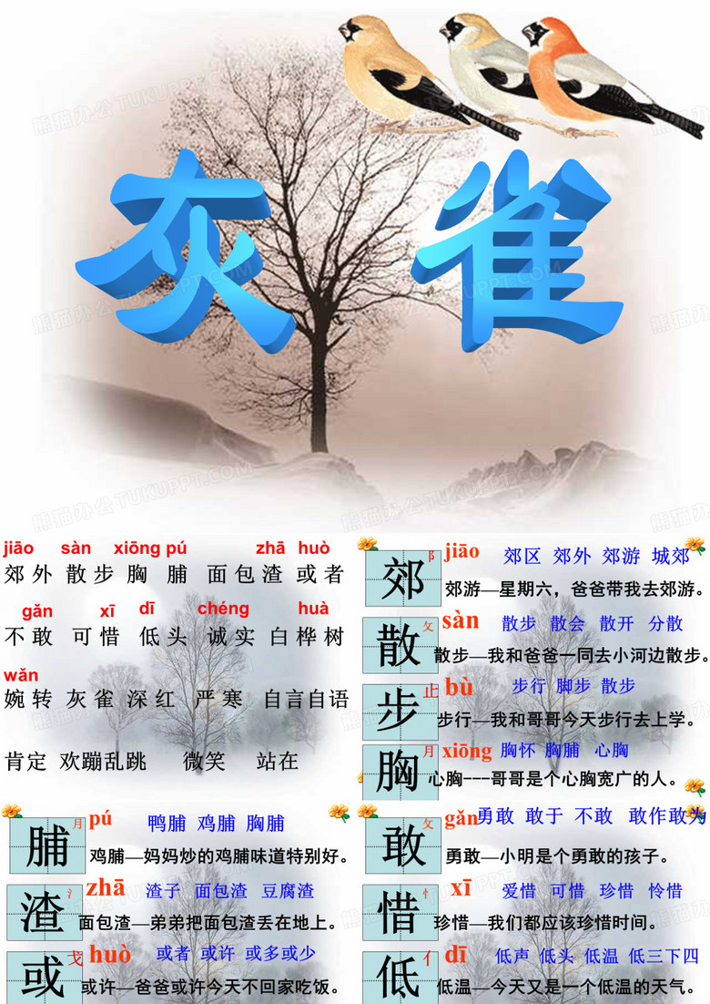 灰雀