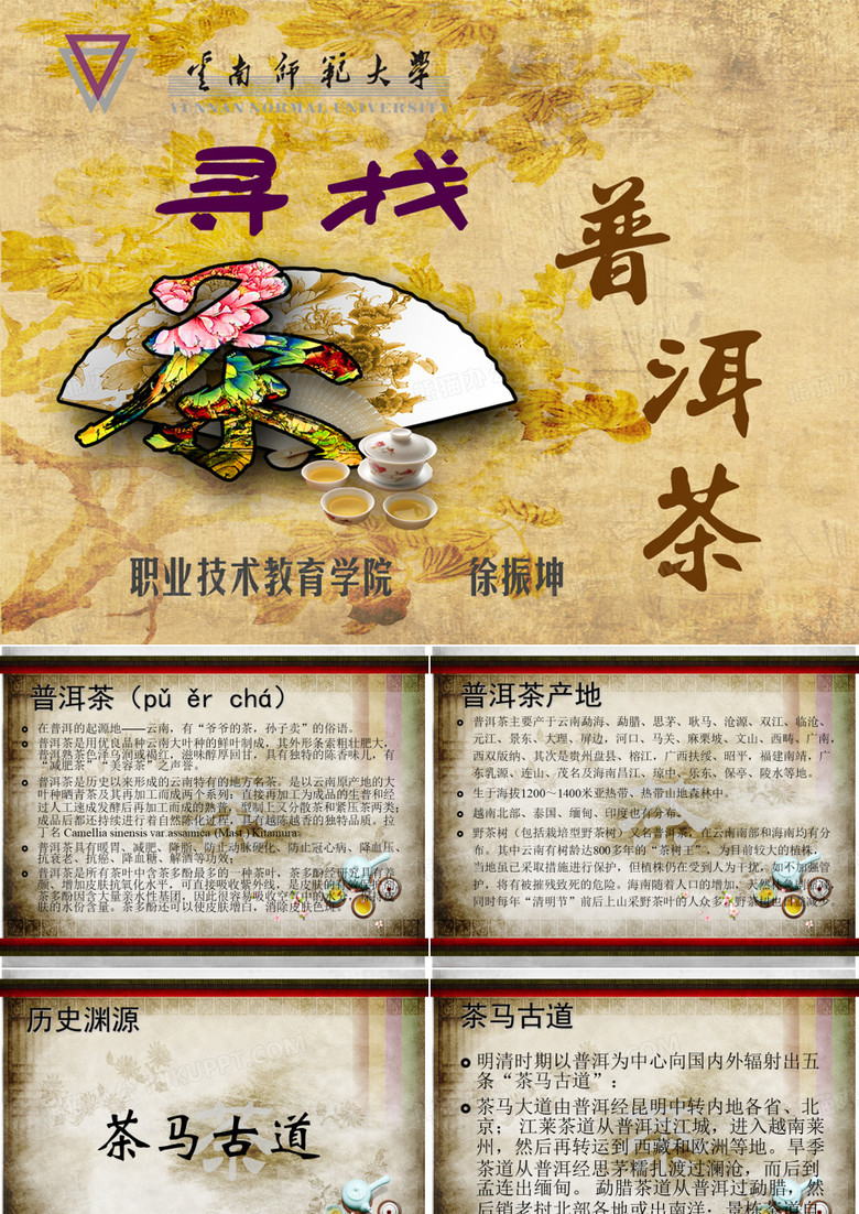 寻找普洱茶