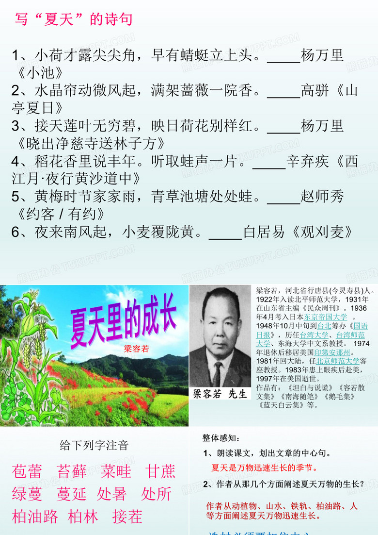 夏天里的成长 