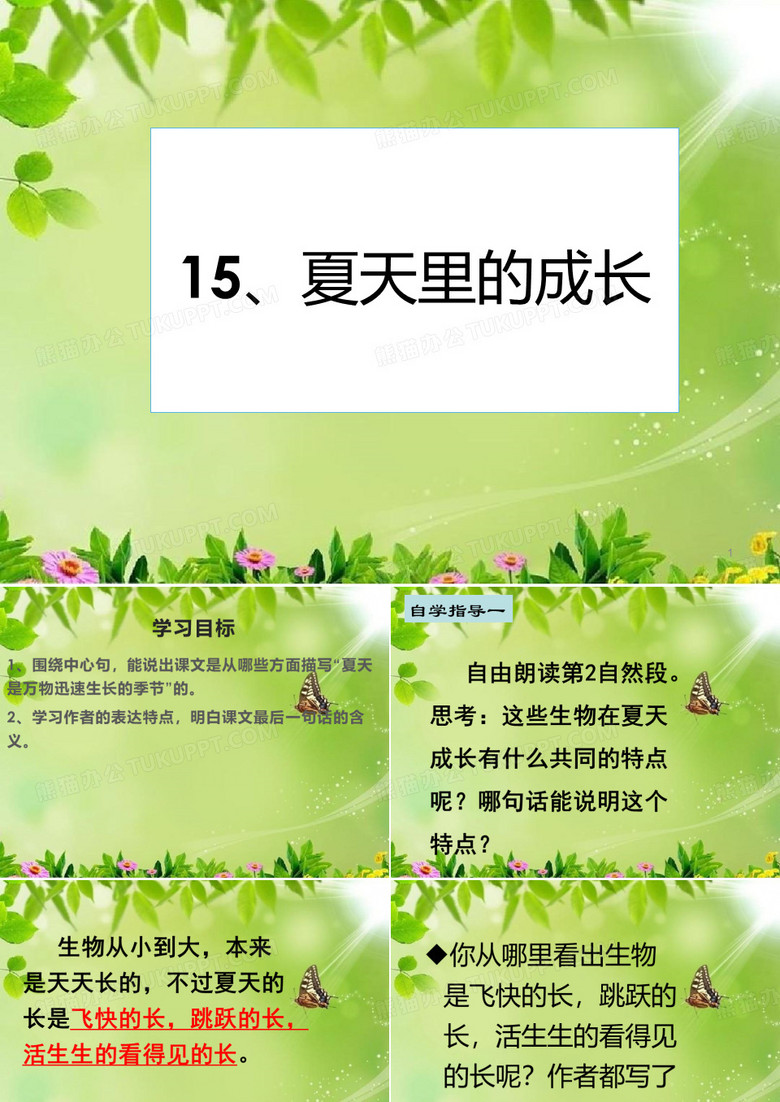夏天里的成长