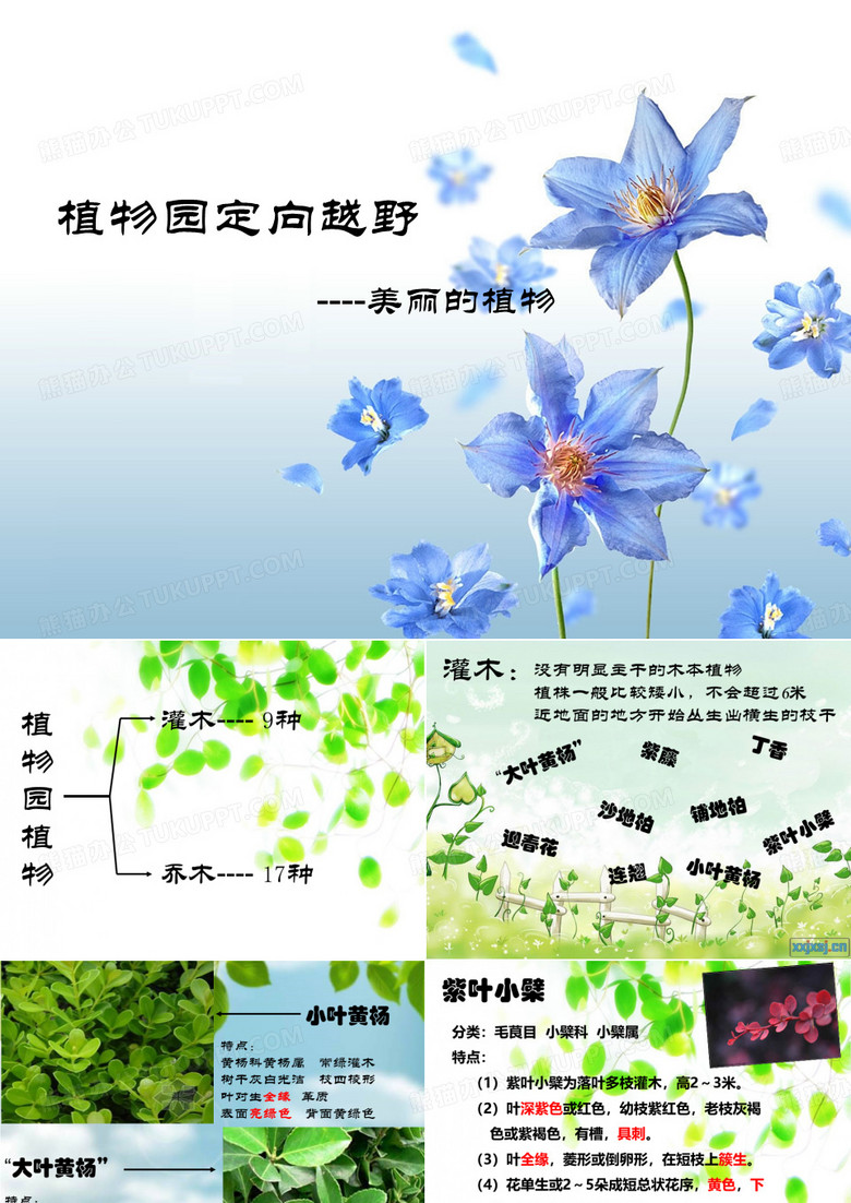 植物园定向越野