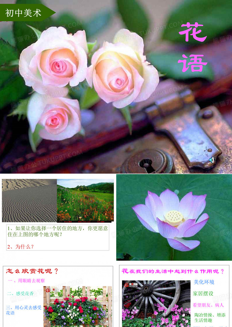 花语