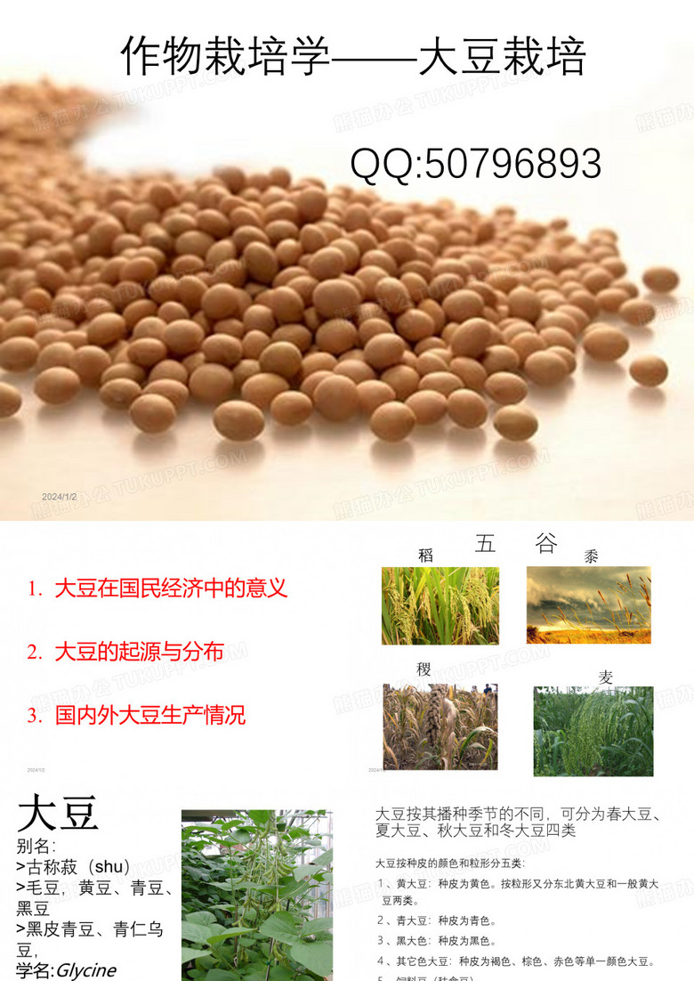 大豆第一章-大豆介绍