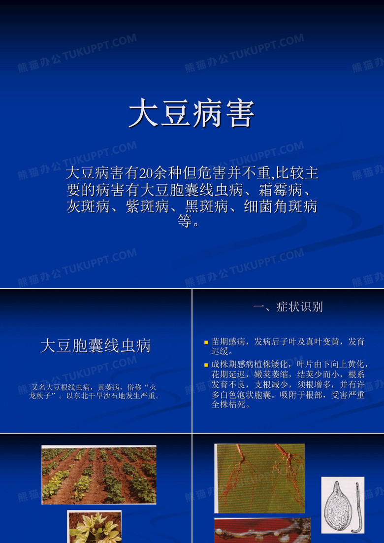 大豆病害