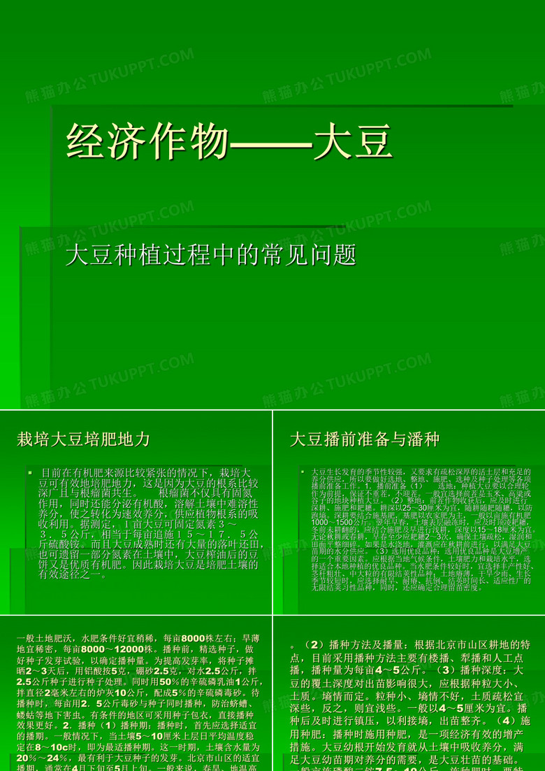 大豆种植