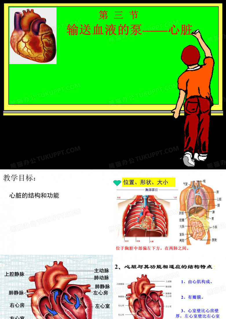 花花————心脏