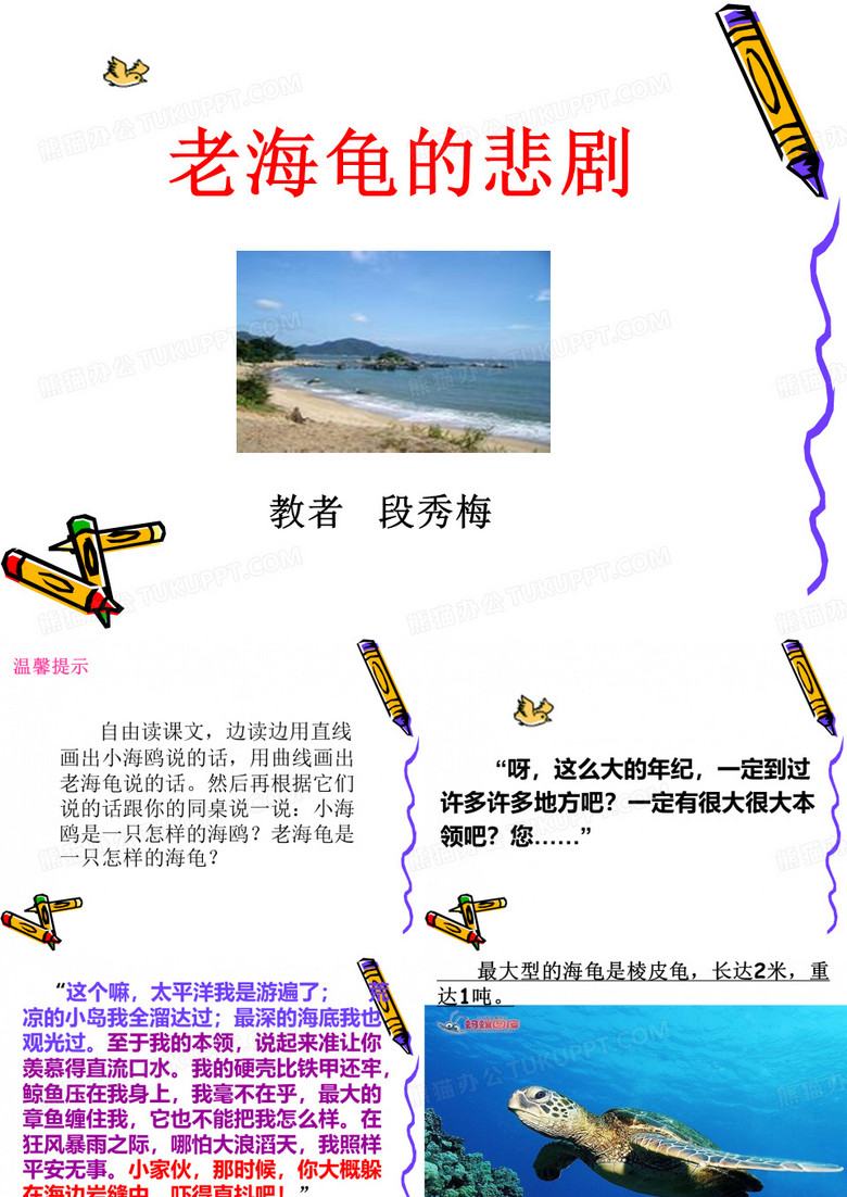 海龟的悲剧