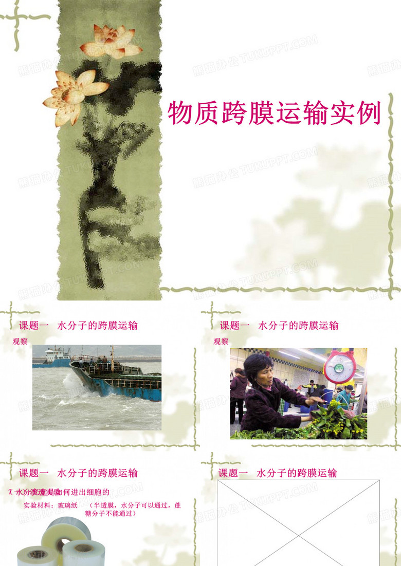 物质跨膜运输的实例