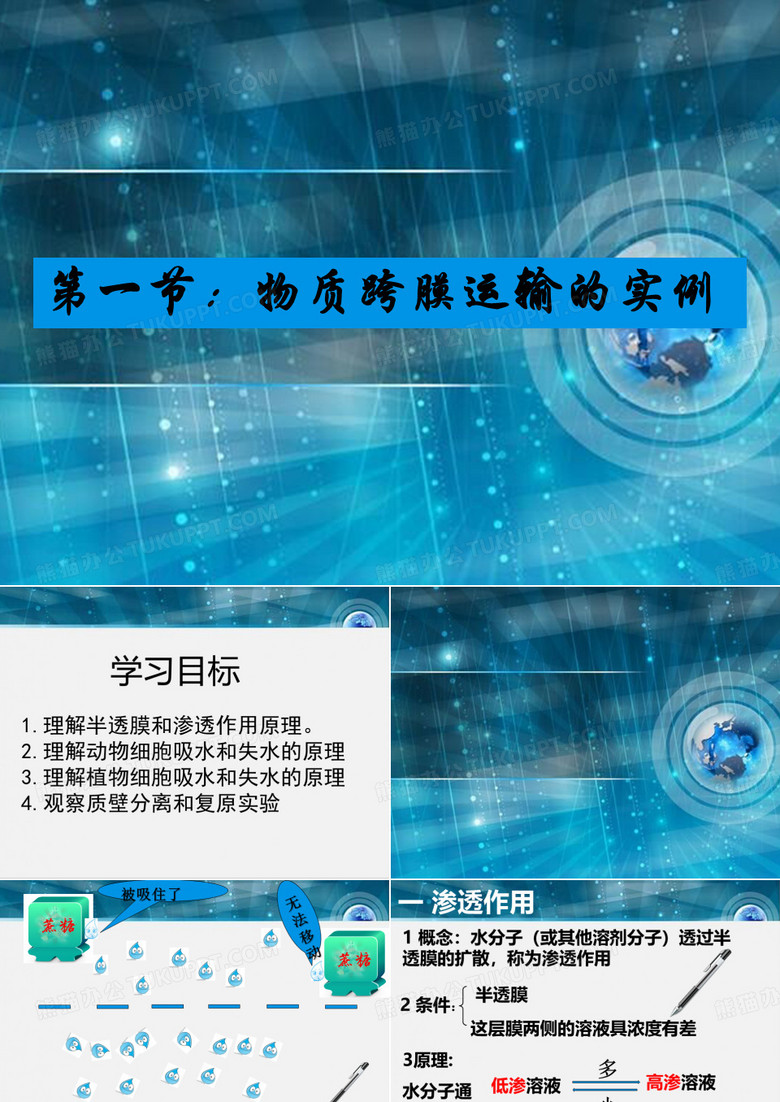 物质跨膜运输的实例