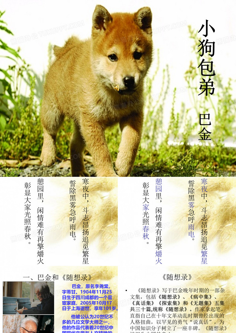 包弟最后稿件ppt