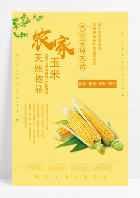  黄色新鲜纯天然原生态玉米农作物海报