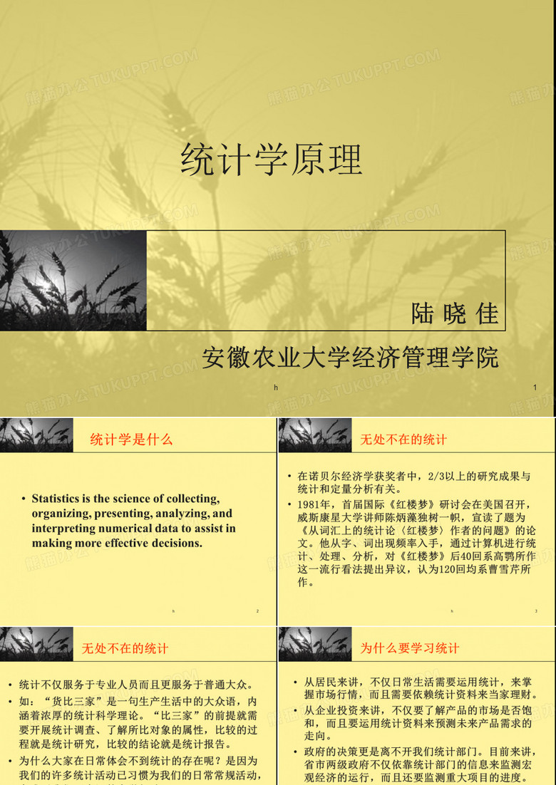 [经济学]统计学原理