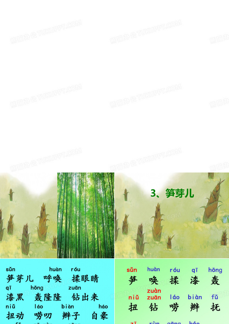 笋芽儿