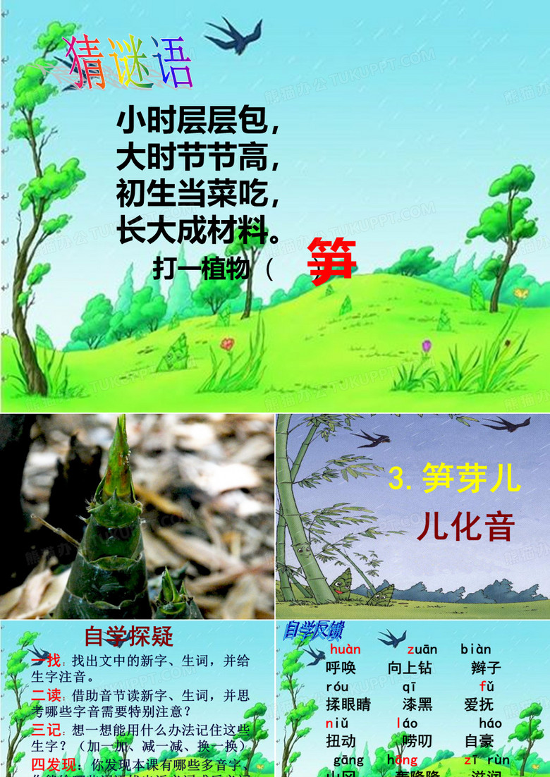 《笋芽儿》课件