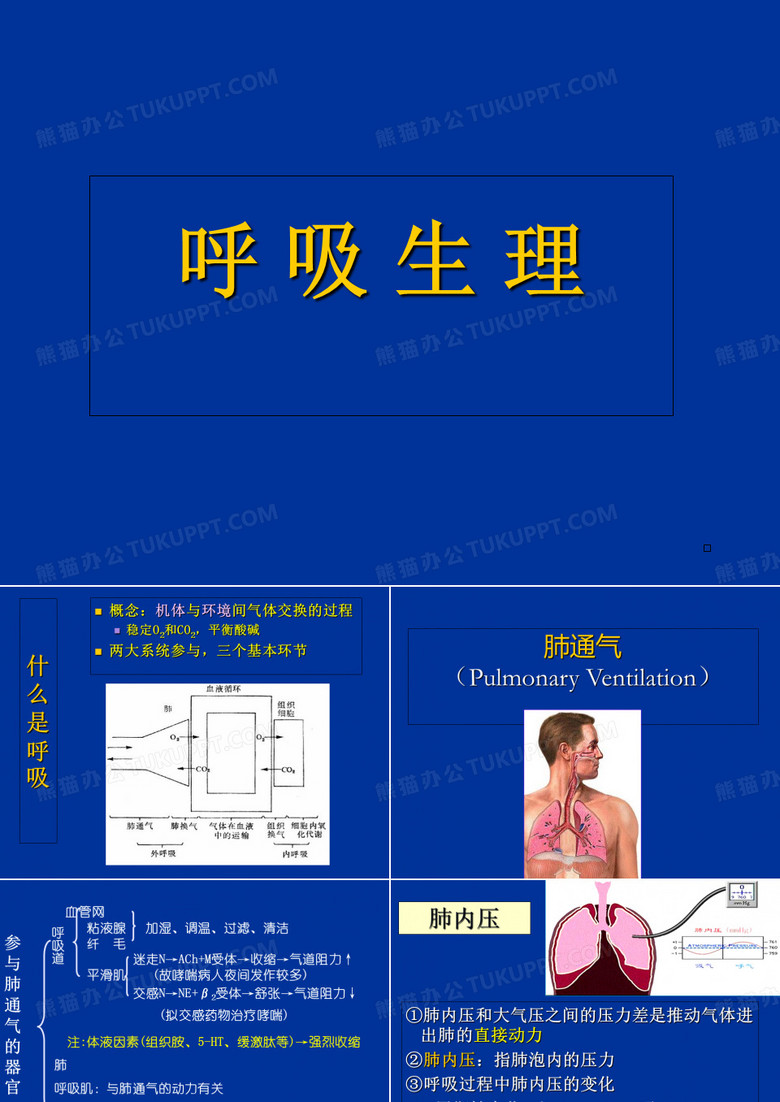 生理学呼吸生理