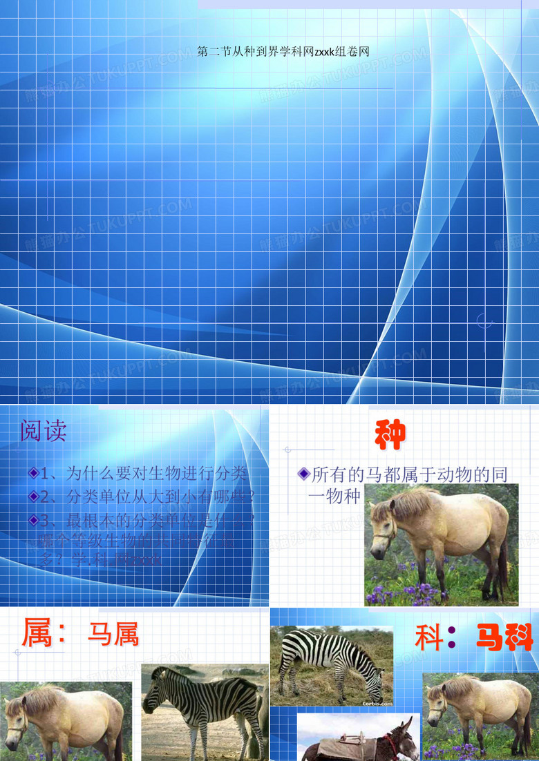 Get清风 第二节从种到界学科网zxxk组卷网