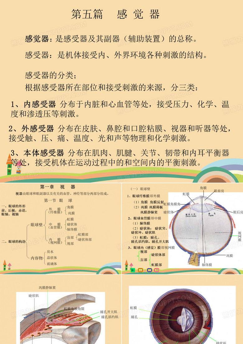 医药类感觉器-眼PPT优秀课件