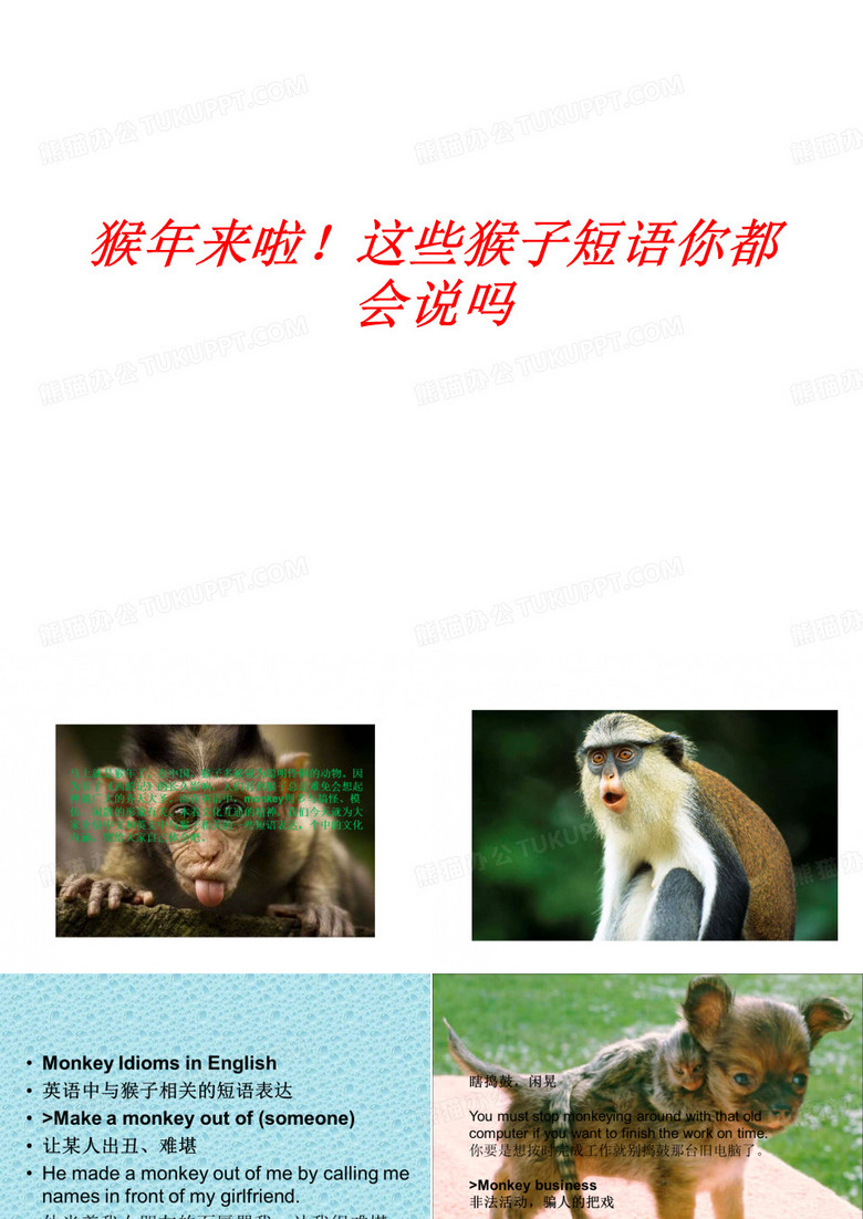 猴年有关的短语