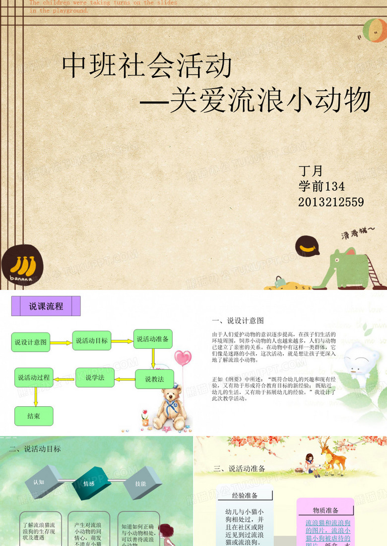 关爱流浪小动物