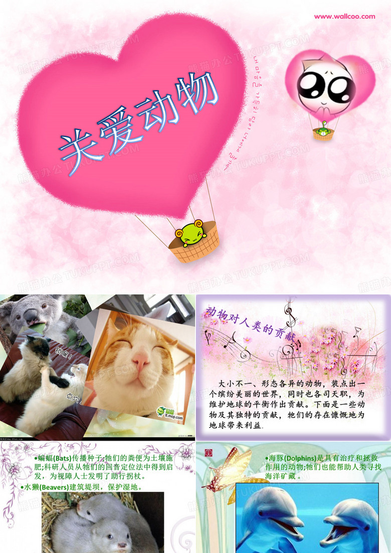 关爱动物
