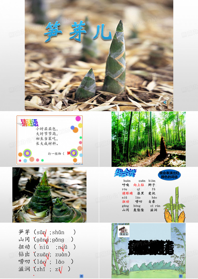 笋芽儿.ppt