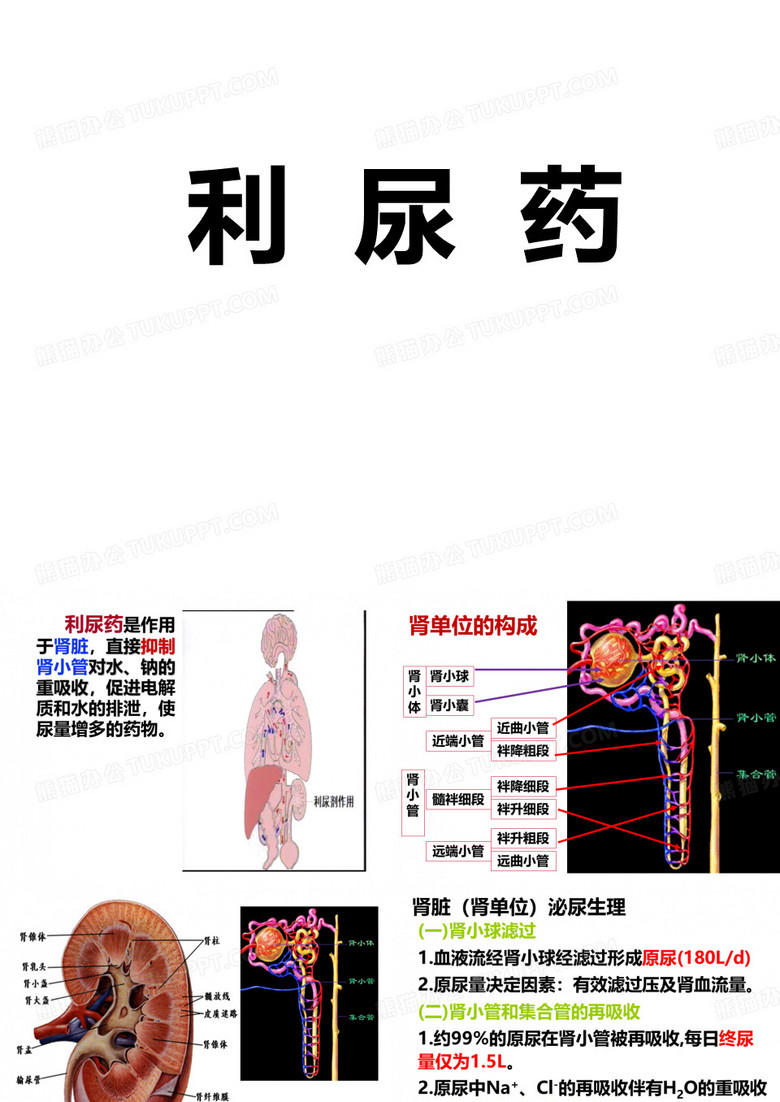 利尿药