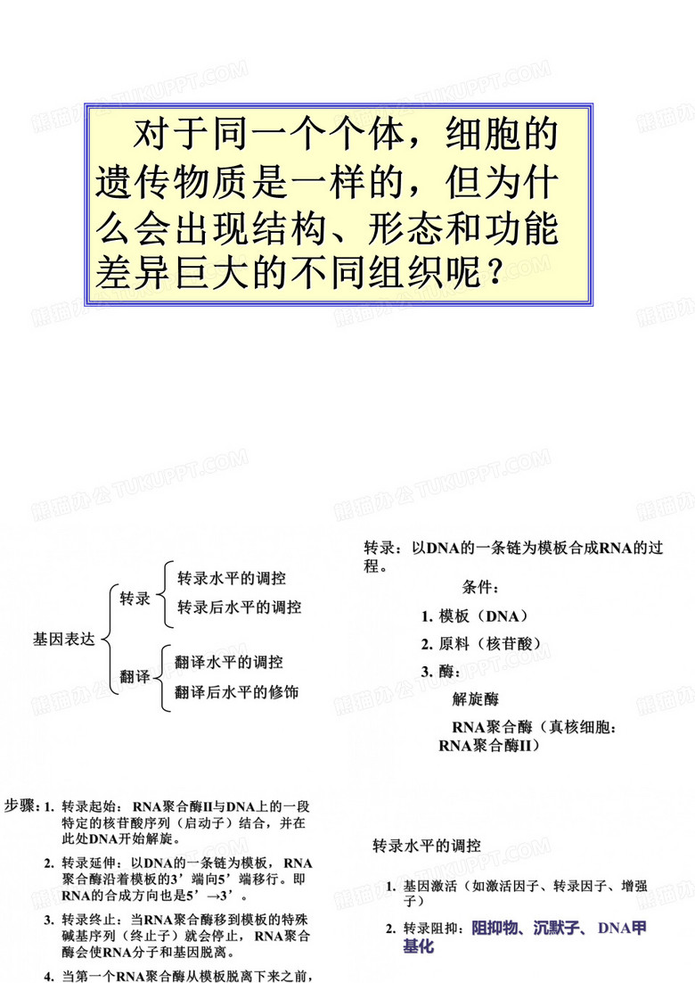 基因表达