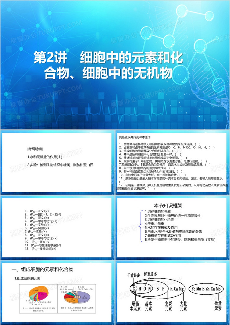 组成细胞的元素和化合物PPT模板