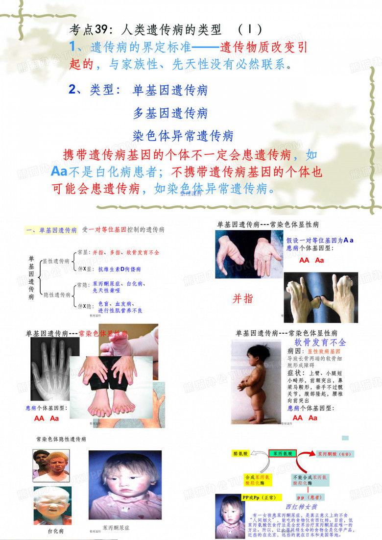 《人类遗传病》