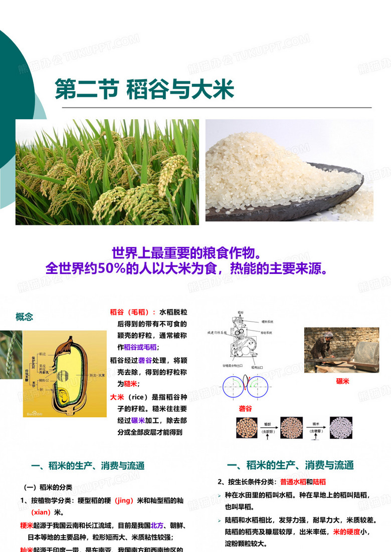 稻谷与大米