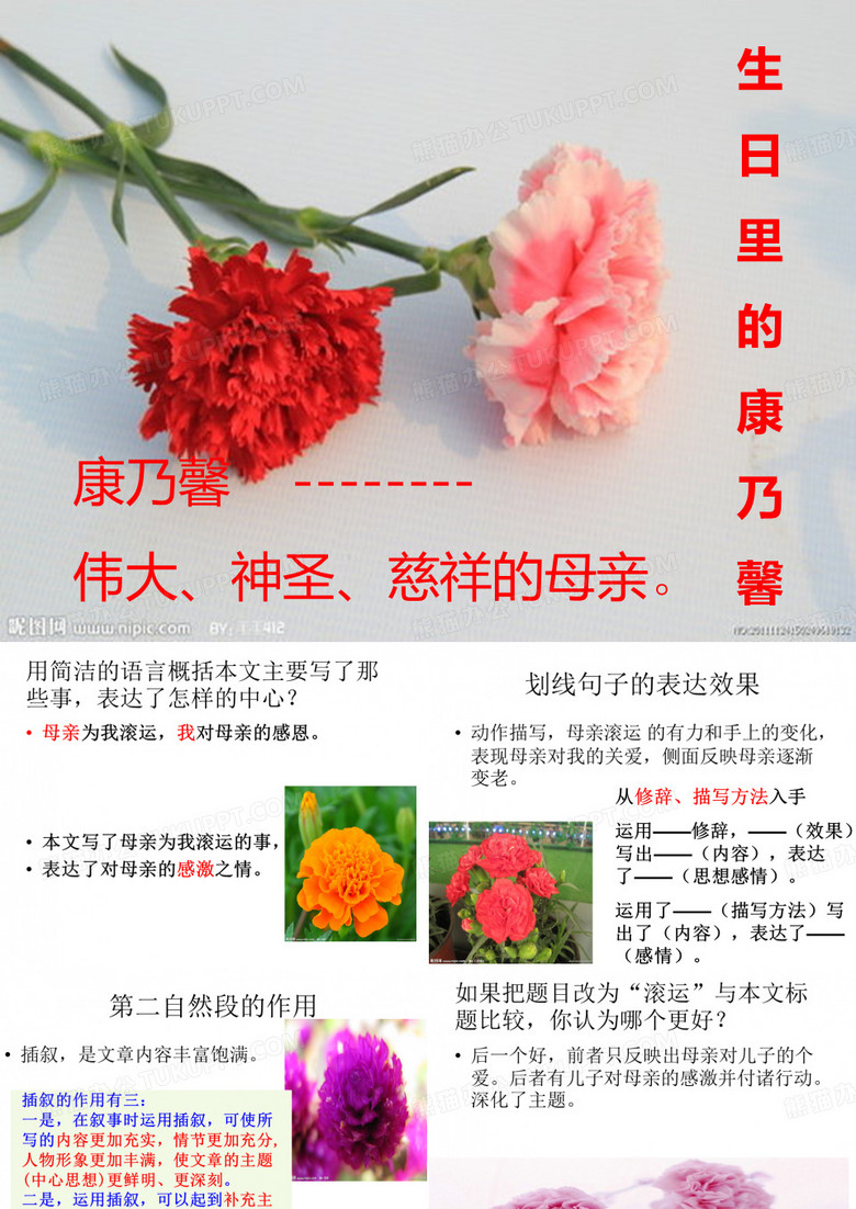 生日里的康乃馨