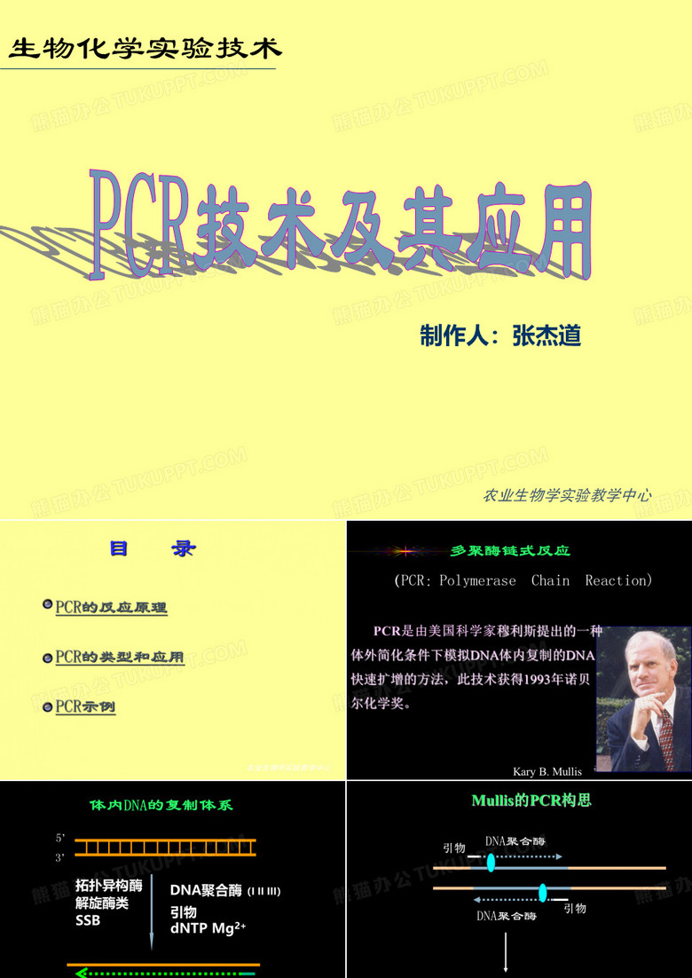 PCR技术与PCR的应用