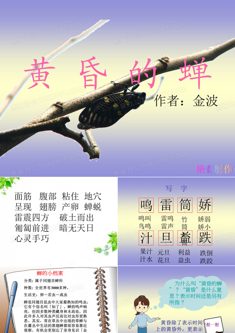 黄昏的蝉