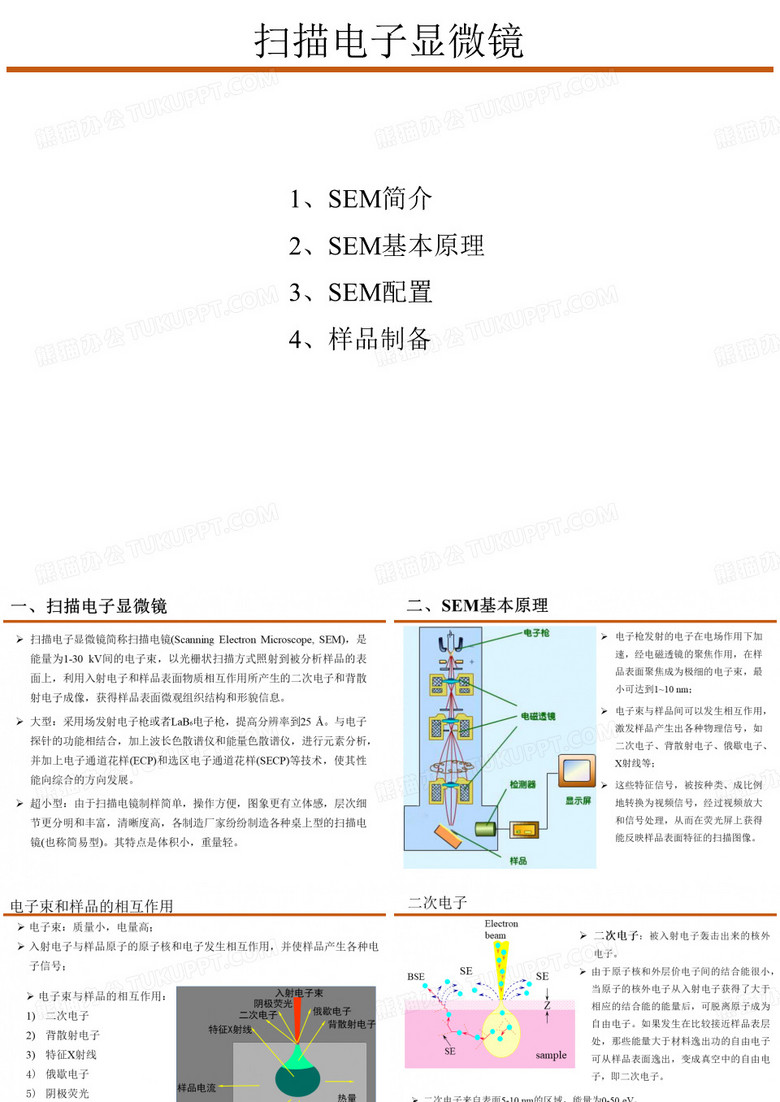 扫描电镜