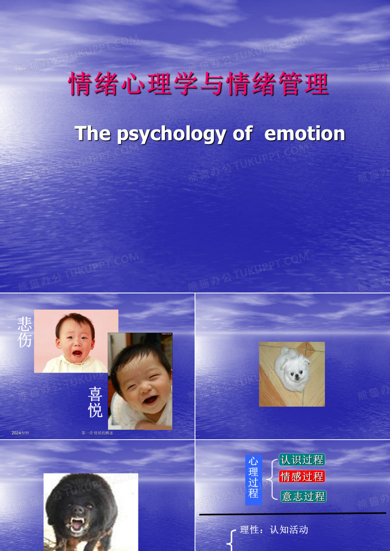 情绪心理学与情绪管理 PPT课件