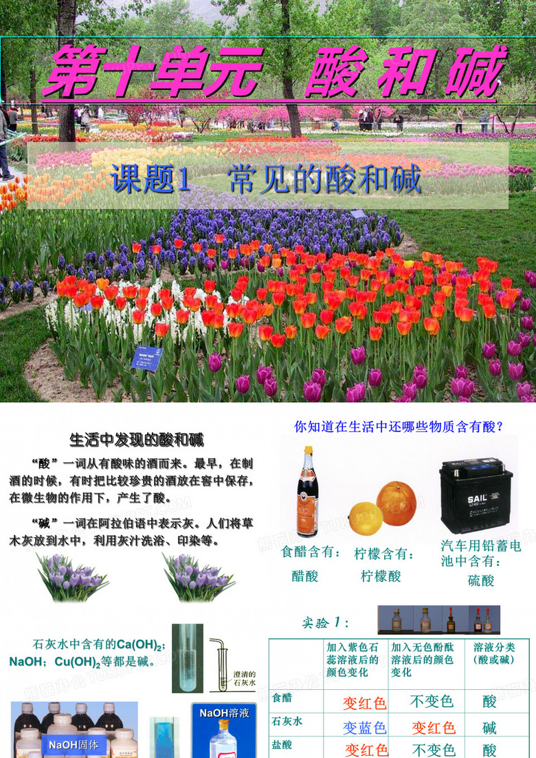 常见的酸和碱ppt