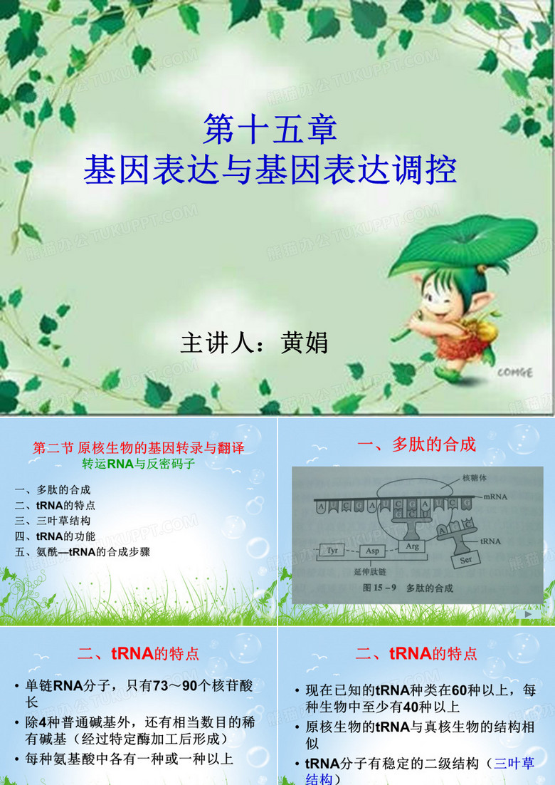 15 基因表达与基因表达调控