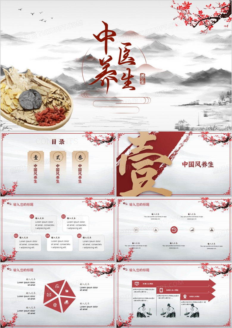 红色中国风养生馆中医养生PPT模板