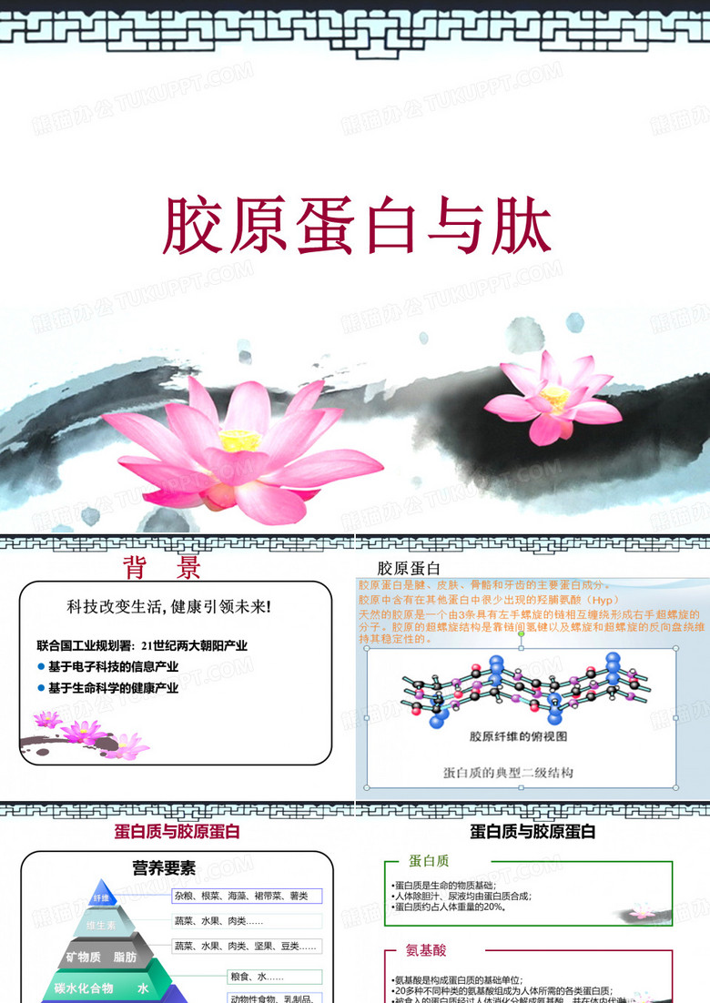 胶原蛋白与肽