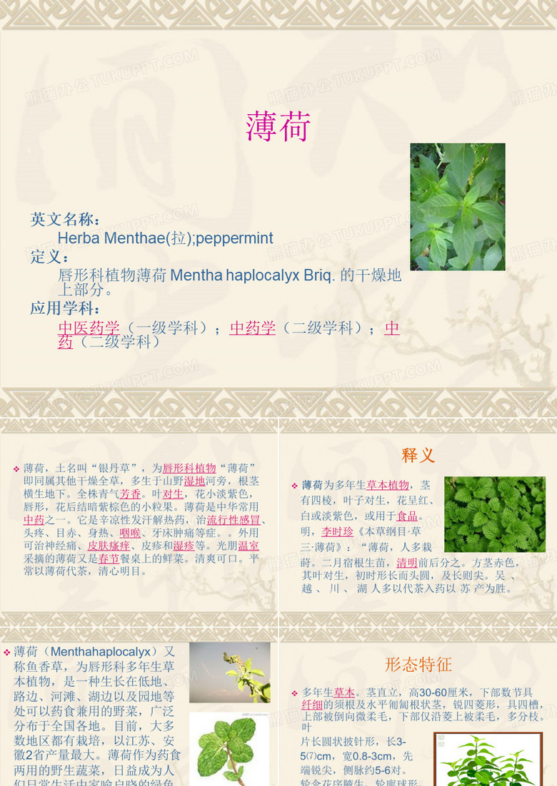 薄荷