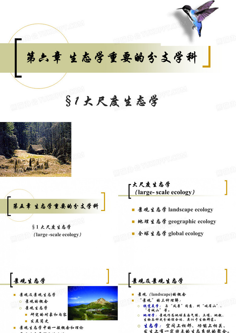 生态学之大尺度生态学